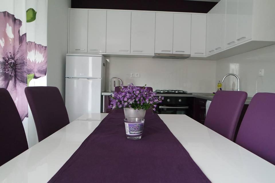 Apartments Jadranka Novalja Εξωτερικό φωτογραφία